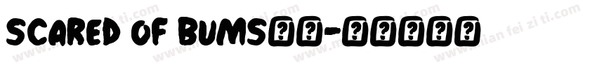 Scared Of Bums字体字体转换